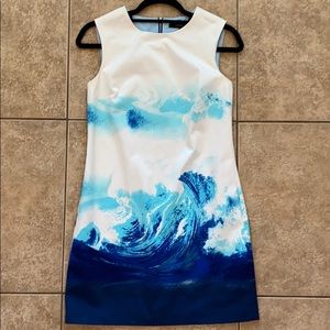 Cynthia Steffe Ocean Dress